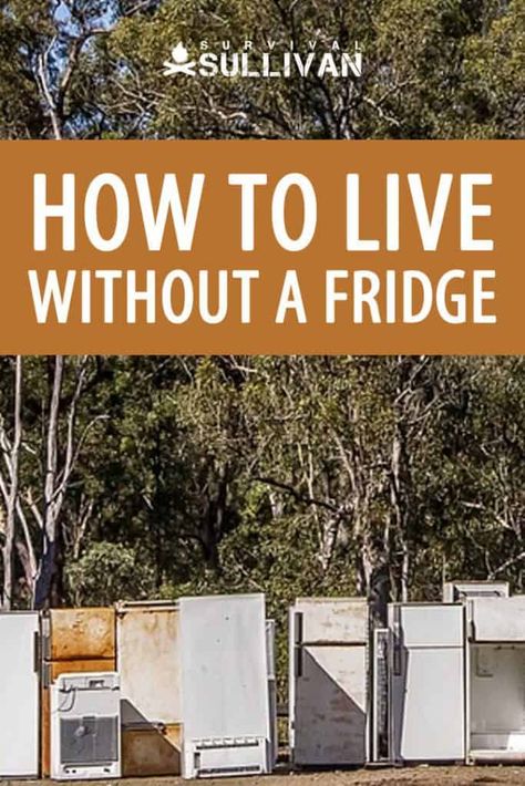 Living Without A Fridge, Survival Skills Emergency Preparedness, Going Off The Grid, Surviving In The Wild, Survival Quotes, Living Off The Grid, Homesteading Skills, Survival Life Hacks, Survival Shelter