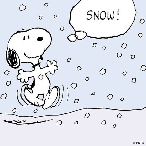 Winter Widgets, Woodstock Snoopy, I Love Snow, Snoopy Images, Peanuts Cartoon, Snow Fun, Snoopy Quotes, Peanuts Christmas, Snoopy Pictures