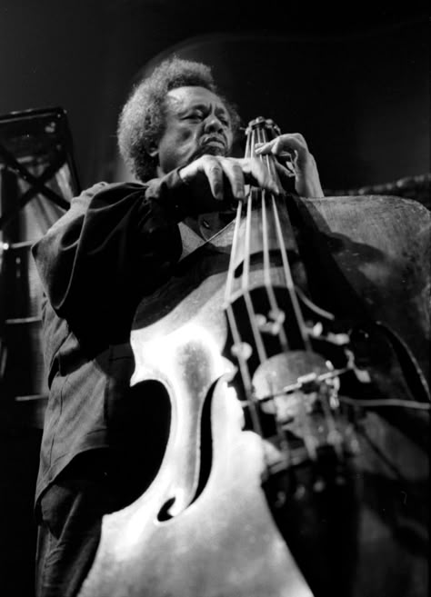 Charles Mingus (Kathy Sloane, photographer) Musician Photos, Charles Mingus, Jazz Artists, Soul Jazz, Music Pics, Double Bass, Jazz Musicians, Music Posters, Jazz Blues