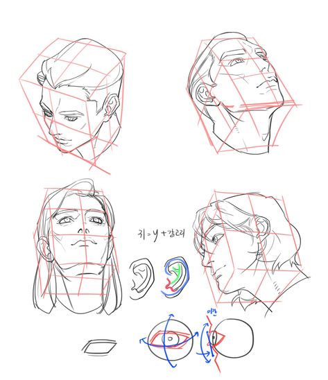 Human Body Drawing, Some Drawings, Perspective Drawing Lessons, 얼굴 드로잉, Drawing Tutorial Face, Drawing Heads, 얼굴 그리기, Human Anatomy Art, Anatomy Sketches