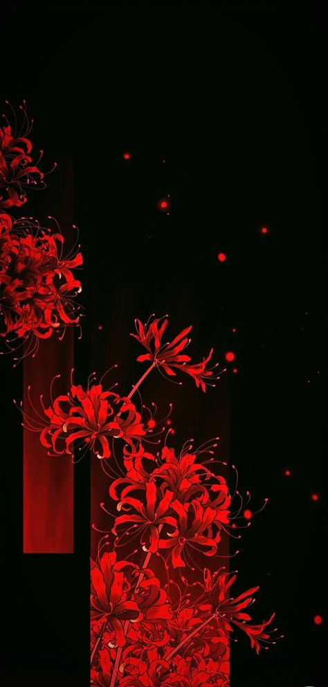 Red Spider Lily Aesthetic Wallpaper, Red Spider Lily Background, Spider Lilies Wallpaper, Spider Lily Background, Lycoris Rouge, Red Spider Lily Aesthetic, Red Spider Lily Wallpaper, Spider Lily Art, Spider Lily Wallpaper