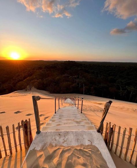 @quoifaireabordeaux on Instagram: “« Partout où la vie nous mène, il y a toujours des moments d'émerveillement. » 🌅 - Jimmy Carter 📷 @fanny_arca” Jimmy Carter, Alcoholic Drinks, Log In, Log, Wine, France, Glass, On Instagram, Instagram