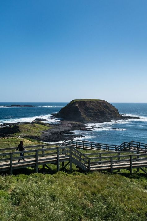 Read our favourite free things to do on Phillip Island to plan your trip! Phillip Island Victoria, Phillip Island Australia, Philip Island Australia, Melbourne Life, Postcard Project, Australia Aesthetic, 22nd Bday, Melbourne Trip, Gap Year Travel