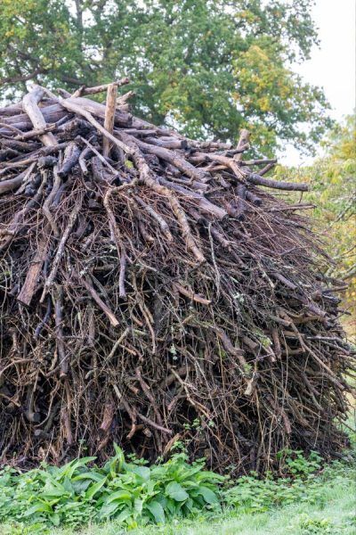 Don't burn bonfires - stack up wood clippings to make an eco-friendly habitat pile #middlesizedgarden Natural Plant Supports, Landscaping With Logs, Biodiverse Garden, Stacking Wood, Mushroom Compost, Great Dixter, Garden Wildlife, Habitat Garden, Eco Garden