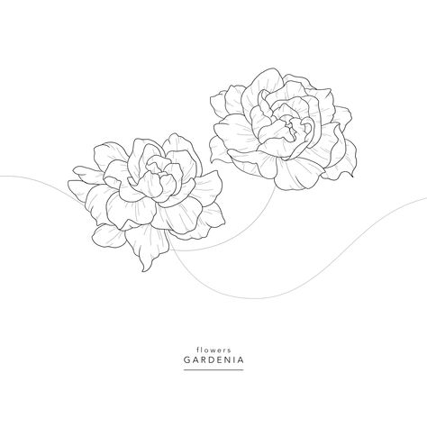 Gardenia Flowers Tattoo, Gardenia Flower Outline, Fine Line Gardenia Tattoo, Gardenia Plant Tattoo, Gardinia Tattoo Simple, Gardina Flowers Drawing, Gardenia Tattoo Design, Gardina Flowers Tattoo, Gardenia Drawing