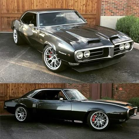 1968 Firebird w/ 1969 Trans Am hood Auto Retro, Pontiac Firebird Trans Am, Pontiac Cars, Firebird Trans Am, 1957 Chevrolet, Classic Muscle Cars, Cars Muscle, Pontiac Gto, Us Cars