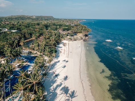 17 Epic Things To Do In Panglao Island - Bohol 1 Panglao Bohol, Panglao Island, Alona Beach, Us Passport, Travelling Thailand, Kawasan Falls, Bohol Philippines, Cliff Diving, Twin Falls