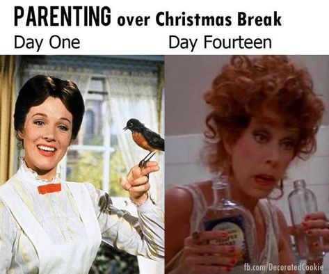 Mum Memes, Holiday Meme, Holiday Memes, Christmas Memes Funny, Mom Truth, Cool Memes, 2020 Memes, Christmas Memes, Mom Memes