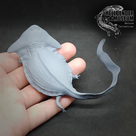 A highly detailed realistic resin 3D printed model of a Diplocaulus, which I digitally sculpted. This model is unpainted, but comes with a layer of grey primer by default. Upon request I can supply the model with white, black or no primer if you prefer. Let me know! This model is now also available in a hand painted faux ivory or boxwood finish! The dimensions of the model are 90 x 30 x 100mm. Scientific/creative direction by Stupio Piko (studiopiko.com) Venus Of Willendorf, Nifty Crafts, Abc Art, Digital Sculpture, Art Tools Drawing, Sculpture Clay, Mini Paintings, Art Tools, Creative Direction