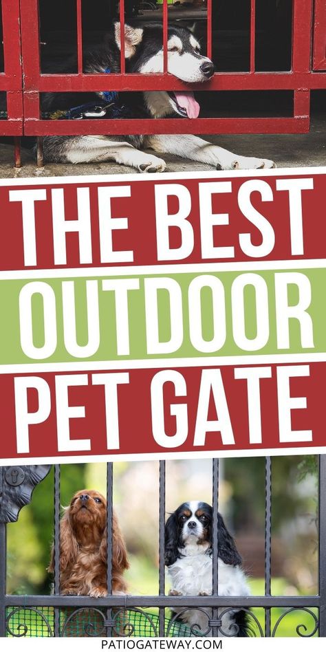 Outdoor Pet Gate for Decks and Patios | Outdoor Puppy Gates | Outdoor Dog Gates | Pet Safety Gates | Easy to Install Pet Gate | #petgate #outdoorpetgate #weatherproof #reviews Dog Gates Outdoor, Porch Gates For Dogs, Dog Gate Outdoor, Outdoor Pet Gate, Puppy Gates, Diy Dog Gate, Dog Gates, Kids Gate, Backyard Gates