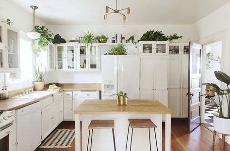 Plants Above Kitchen Cabinets, Above Cabinet Decor, Top Of Kitchen Cabinets, Decorating Above Kitchen Cabinets, Above Kitchen Cabinets, Above Cabinets, Kitchen Cabinets Decor, Cabinet Decor, A Kitchen