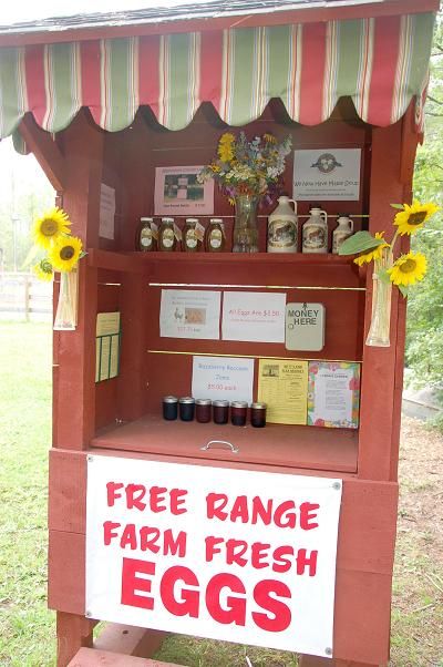 Our farm stand located outside is an old fashioned "honor system" Farm Stands Roadside, Roadside Egg Stand, Produce Cart, Veggie Stand, Farm Stand Ideas, Chicken Fence, Roadside Stand, Farmers Market Stand, Egg Packaging