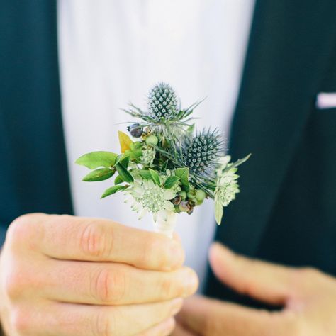 amelia handegan: rooms Amelia Handegan, Corbin Gurkin, Boutonniere Ideas, Prom Dates, Flower Magazine, Sea Holly, Sweet Pea, Boutonniere, Blueberries