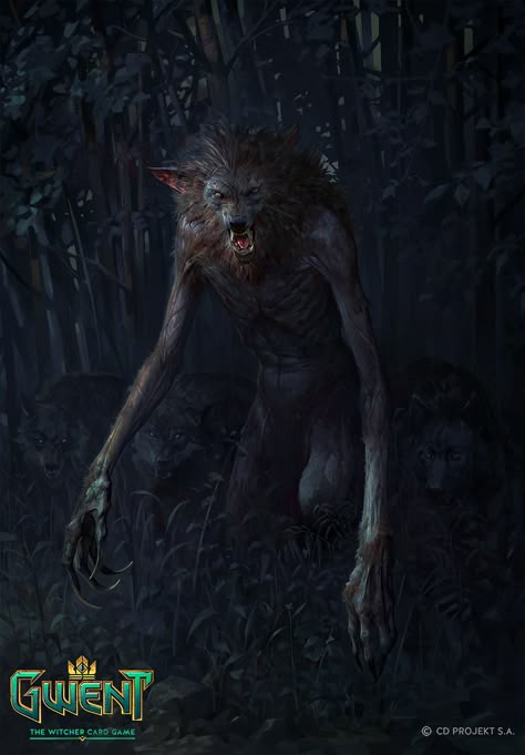 Werewolf Card, Witcher Monsters, Alpha Werewolf, Witcher Art, Werewolf Art, Dark Images, Vampires And Werewolves, Creatures Of The Night, Fantasy Monster