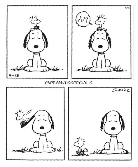 First Appearance: April 28th, 1993 Snoopy Template, Snoopy Bday, Snoopy The Dog, Peanuts Snoopy Comics, Woodstock Snoopy, Snoopy Comics, Peanuts Comic Strip, Snoopy Funny, Cartoon Strip