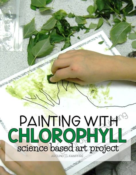 Plants Science Activities, Plants Life Cycle Activities, Seed Science, Science Plants, Plants Science, Outdoor Science, Life Cycles Activities, Plant Activities, Science Crafts