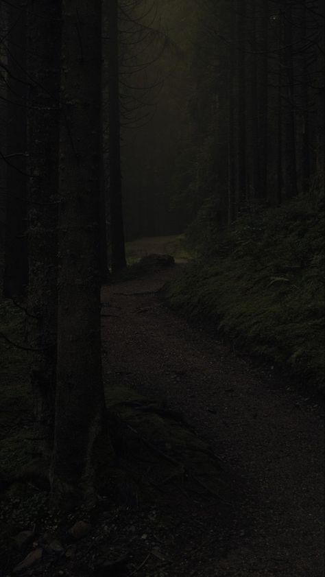 Woods At Night, Dark Naturalism, Dark Forest Aesthetic, Rainy Day Aesthetic, Dark Landscape, Dark Green Aesthetic, Dark Nature Aesthetic, Night Forest, Dark Paradise