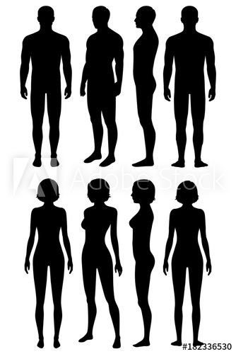 Stock Image: human body anatomy, front, back, side view, vector woman and man illustration Side View Drawing, Human Shadow, Shadow Drawing, Human Body Anatomy, Silhouette People, Man Illustration, Human Drawing, Portfolio Inspiration, Body Anatomy