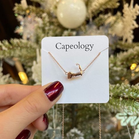 Capeology on Instagram: “Only 44 more days until the holidays! ✨🎄🎁 All orders on our website ship for FREE anywhere in the USA. 📬 Please remember to plan your…” Holiday Wishes, Rose Gold Necklace, Cape Cod, Making Out, Silver Necklaces, Or Rose, Arrow Necklace, Silver Gold, Cape