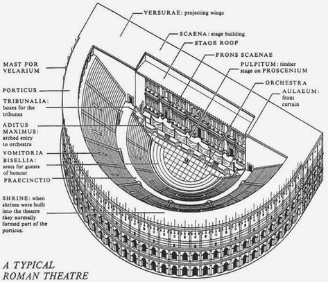 A Matter of Style: Ancient Roman Theatre Roman Theatre Architecture, Theatre Section, Theatre Drawing, Ancient Greek Theatre, Greek Theater, Ancient Roman Architecture, Theater Architecture, Schematic Diagram, Cute Pug Puppies