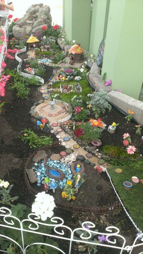 Fairy Garden Design Ideas, Fairy Garden Ideas, Fairy Garden Plants, Fairy Garden Crafts, Fairy Garden Designs, Mini Fairy Garden, Meteor Garden 2018, Fairy Garden Houses, Diy Fairy