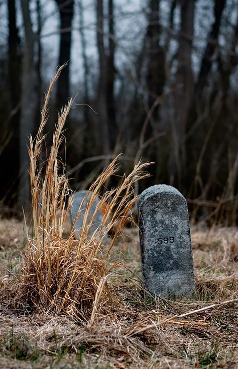 Cemetery, Marlboro State Hospital, New Jersey. 1931-1998. Old Cemetery, Pride And Prejudice And Zombies, Grave Stone, Stone Photography, Abandoned Asylums, Cemetery Headstones, Graveyard Shift, Lockwood And Co, Headless Horseman