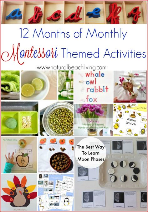 12 Months of Monthly Montessori Themed Activities, Montessori Ideas, Set-ups, Trays, Free Printables, Preschool Themed Learning Activities and so much more. Printables Preschool, Montessori Kindergarten, Montessori Science, Montessori Printables, Montessori Books, Diy Montessori, Montessori Lessons, Montessori Homeschool, Montessori Practical Life