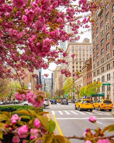 the best family vacation #vacationmode #vacations #accommodation Pink New York Aesthetic, New York Sightseeing, New York Noel, Pink New York, Nyc Spring, Spring In New York, Beautiful Landscape Photography, Best Family Vacations, Nyc Aesthetic