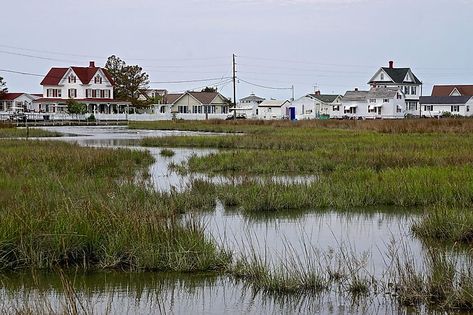 10 Most Scenic Road Trips to Take on the Chesapeake Bay - WorldAtlas Chesapeake Bay Aesthetic, Harriet Tubman Underground Railroad, Assateague Island National Seashore, Chesapeake Bay Bridge, Chincoteague Island, Man Made Island, Scenic Road Trip, Scenic Roads, Waterfront Restaurant