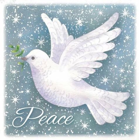 Dove Painting, Dove Pictures, Peace Dove, Angel Painting, Card Drawing, Bird Art Print, White Bird, Christmas Drawing, Rainbow Art