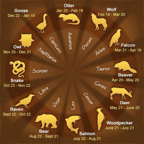 undefined Native American Astrology, Native American Zodiac, Zodiac Chart, Taurus And Scorpio, Native American Wisdom, Party Animal, Native Jewelry, Animal Totems, Astrology Zodiac