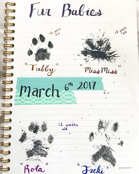 Loving my bullet journal! Needed a pet page!! I love how you can tell who's got more fur! Getting A Dog, Bullet Journal Page, Pet Tracker, Bullet Journal Notes, Diy Journal Books, Organization Planning, Missing Her, Journal Page, Diy Journal