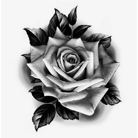 Rose Tattoo Stencil, Realistic Rose Tattoo, Rose Flower Tattoos, Rose Drawing Tattoo, Rose Hand Tattoo, Rose Tattoo Sleeve, Rose Tattoos For Men, Realistic Rose, Tattoo Rose