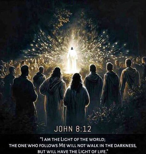 I am the light of the world I Am The Light, John 8 12, Light Of Life, Light Of The World, Visible Light, Every Man, The Light, To The World, The Sun