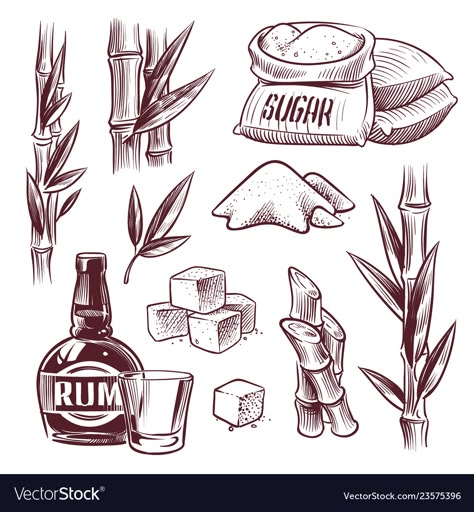 Sketch sugar cane sugarcane sweet leaf sugar Vector Image Sugar Tattoo, Sugar Cane Plant, Tree House Drawing, Animal Illustration Kids, Sugar Packaging, Props Art, Sketch Tattoo Design, Tattoo Flash Art, Dream Tattoos