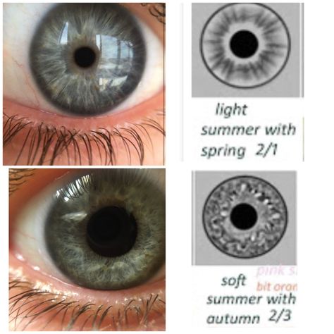 Spring Eye Pattern, Soft Summer Fashion, Summer Skin Tone, Cool Summer Palette, Seasonal Colour Analysis, Soft Summer Palette, Soft Summer Color Palette, Summer Eyes, Soft Summer Colors