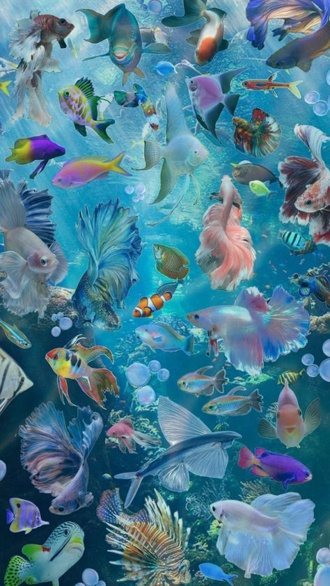 completely inspired by the post i remixed!! #aquarium #fishies #fish #ocean #wallpaper Pretty Fish, Fish Ocean, Sea Life Art, Fish Wallpaper, Ocean Wallpaper, Iphone Wallpaper Photos, Ocean Vibes, Aesthetic Gif, Ethereal Art