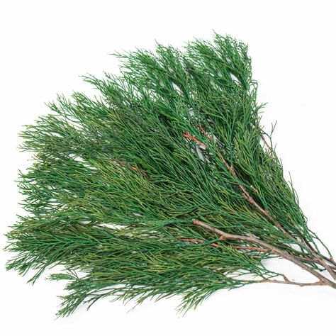 PRICES MAY VARY. 100% REAL FRESH PLANTS: This is preserved real pine branch not fake, picked from natural fresh live green pine plant and made with special preservation techniques. We can keep the natural botanical properties of the pine leaves stems, which is more natural in color and shape than artificial faux plants LIGHT NATURAL PINE SCENT: The size of Christmas greenery pine stems you receive is approx. 17x 4.5 inch with 3-6 pine leaves branches. Pine needles can be trimmed to suit your nee Branches (craft Supplies), Pine Leaves, Greenery Plants, Xmas Wedding, Christmas Decor Trends, Garland Wreath, Pine Leaf, Greenery Decor, Home Party Decor