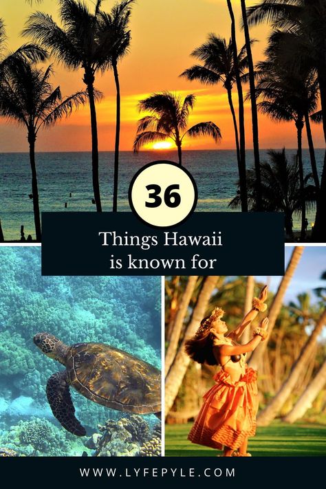 Click through to discover all about Hawaii, USA! What To Do In Hawaii, United States Road Trip, Hawaii Things To Do, Uss Arizona, Travel Motivation, Hawaiian Culture, Hawaii Usa, Road Trip Adventure, Tropical Climate