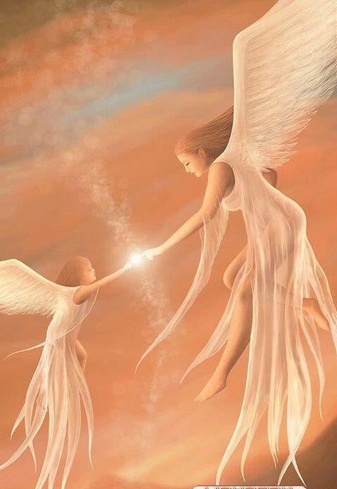 Angels Flying, Reading Cards, Angel Card, I Believe In Angels, Angels Among Us, Angel Messages, White Wings, Spiritual Guides, Angels In Heaven