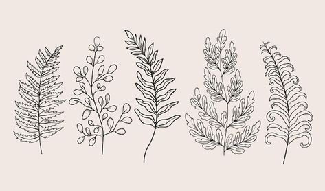 Free vector hand drawn fern outline illu... | Free Vector #Freepik #freevector #outline #line-art #minimal-illustration #hand-drawn-illustration Fern Outline, Outline Illustration, Vector Hand, Design Minimal, Flat Illustration, Vector Photo, Minimal Design, Fern, Hair Goals