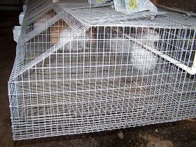 Wire Rabbit Cages, Rabbit Hutch Plans, Rabbit Wire, Diy Rabbit Cage, Raising Rabbits For Meat, Rabbit Pen, Urban Chicken Farming, Pen Designs, Chicken Brooder