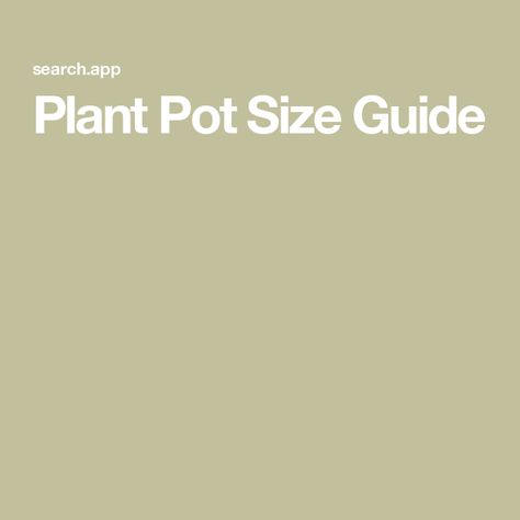 Plant Pot Size Guide Landscaping Supplies, Plant Health, Small Trees, Plant Pot, Potted Plants, Size Guide, Plants