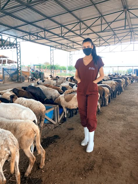 Large Animal Vet Aesthetic, Farm Vet Aesthetic, Large Animal Veterinarian Aesthetic, Vet Tech Outfit, Vet Tech Aesthetic, Vet Student Aesthetic, Equine Vet Tech, Wildlife Vet, Vet Aesthetic