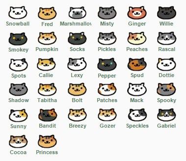 Neko Atsume Cats, Neko Atsume Kitty Collector, Pumpkin Socks, Mobile Phone Game, Neko Atsume, Rare Cats, Taking Pictures, The Collector, Kitty