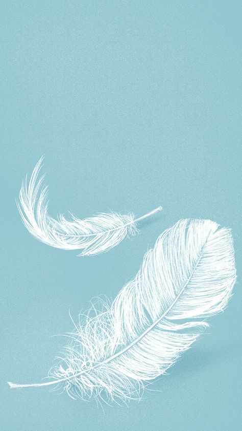 Iphone Wallpaper Nature, Glow Logo, Gravity Art, Angel Baby Shower, Summer Beach Sunset, Feather Background, Feather Illustration, Feather Graphic, Feather Drawing