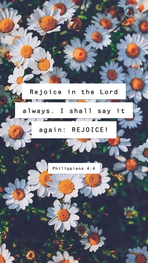 Rejoice In The Lord Always, Rejoice In The Lord, Chic Plus Size, Verses Wallpaper, In Christ Alone, Sunflower Wallpaper, Bible Verse Wallpaper, Favorite Bible Verses, Faith Inspiration