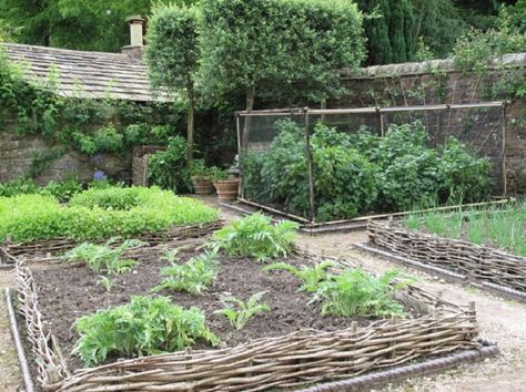 How to Make a Wattle Edging for Kitchen Gardens Wattle Fence, Raised Garden Beds Diy, Veg Garden, Raised Bed, Veggie Garden, English Garden, Kitchen Garden, Raised Beds, Raised Garden Beds