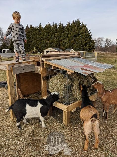 DIY Goat Playground with Pallets & Scrap Wood - DIY Danielle® Diy With Tires, Goat Playground Ideas Diy, Goat Playground Ideas, Goat Yard, Playgrounds Ideas, Scrap Wood Diy, Goat Hay Feeder, Farm Goals, Goat Life