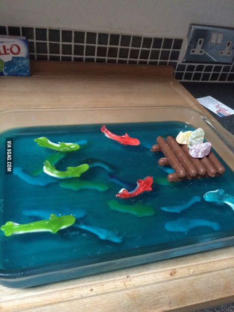 His GF didn't want a cake for her Birthday. So they had Shark infested Jelly(jello). She loves Sharks! Sharknado Party, Shark Week Party, Cake For Her, Shark Themed Birthday Party, Shark Cake, Shark Birthday Party, Ocean Party, Shark Themed, Fishing Birthday